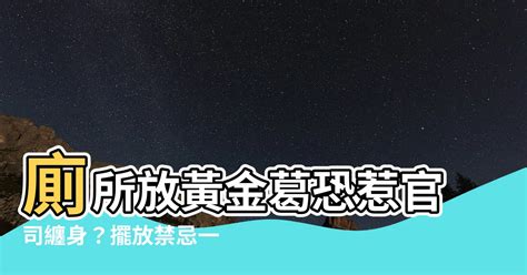 廁所放黃金葛|黃金葛可以放廁所嗎？探討廁所擺放黃金葛的秘訣 – 植物盆栽綠寶典